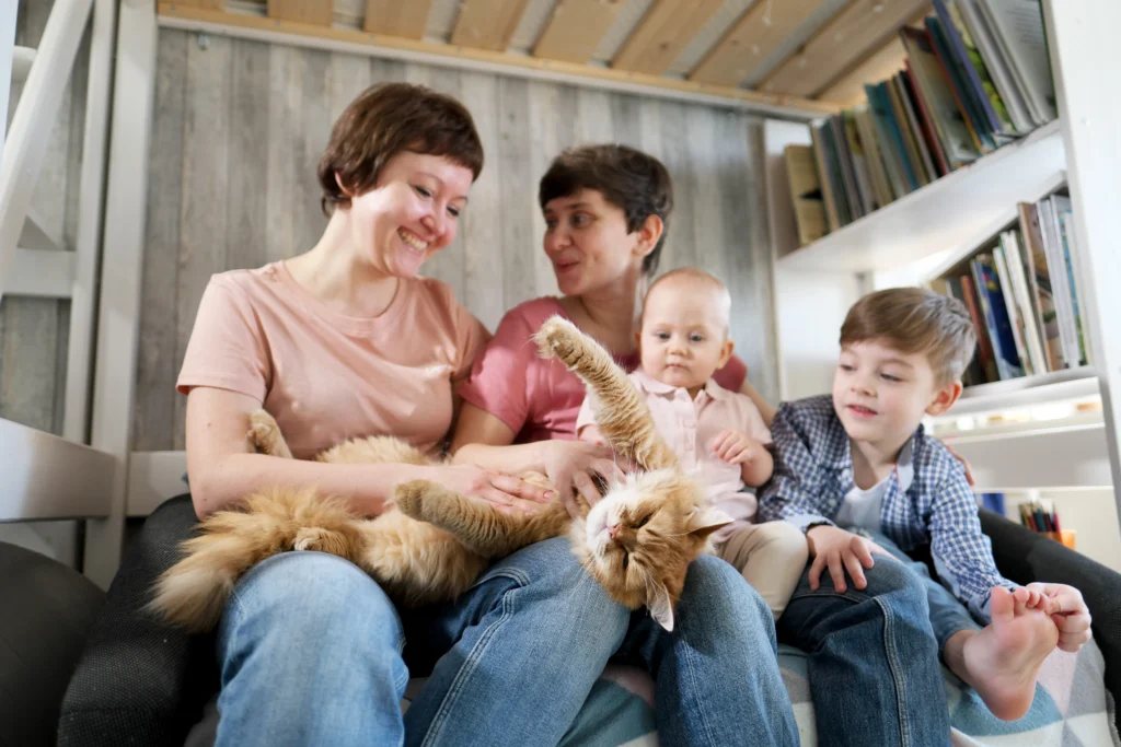 A brown Ragdoll sitting peacefully with a family, showing its suitability as a family pet.