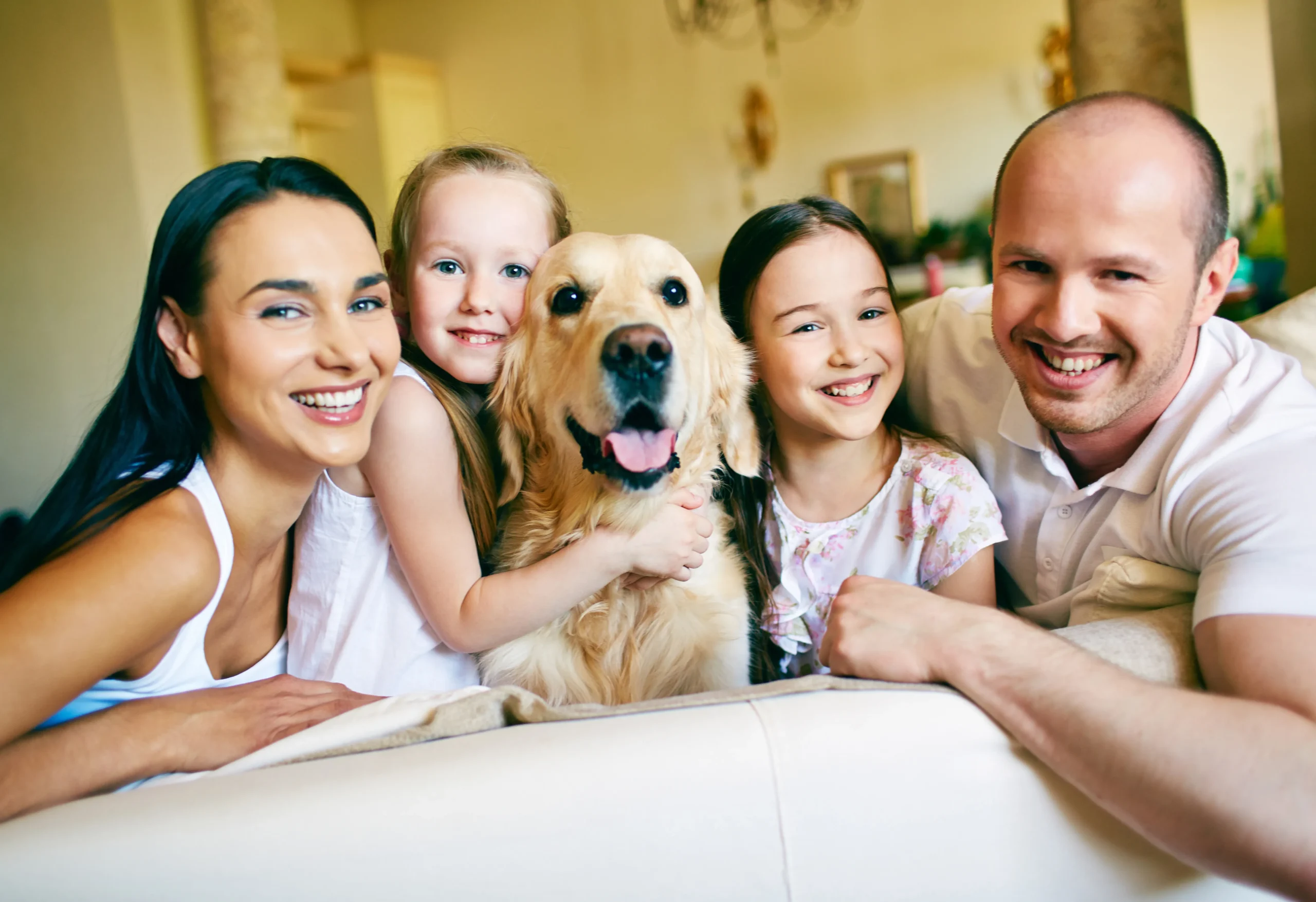 Top 10 Most Protective Dogs with family