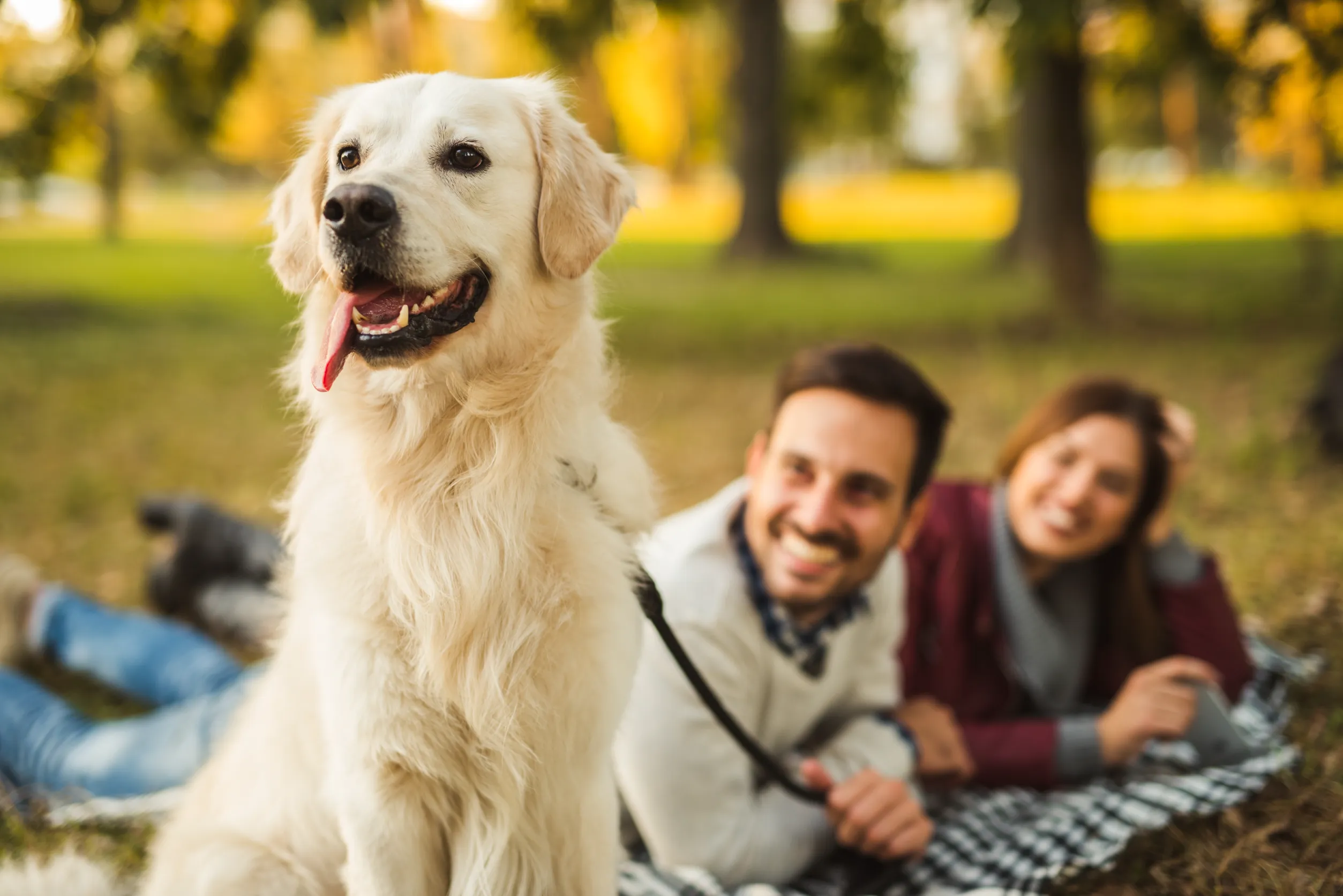 family time with pet dog