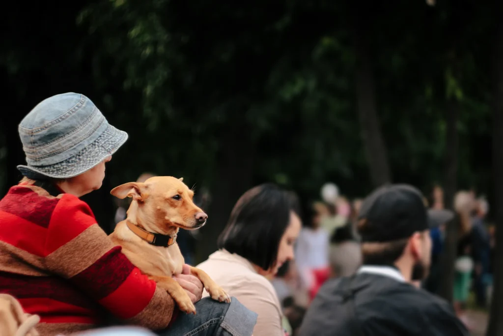 Protective dog with family