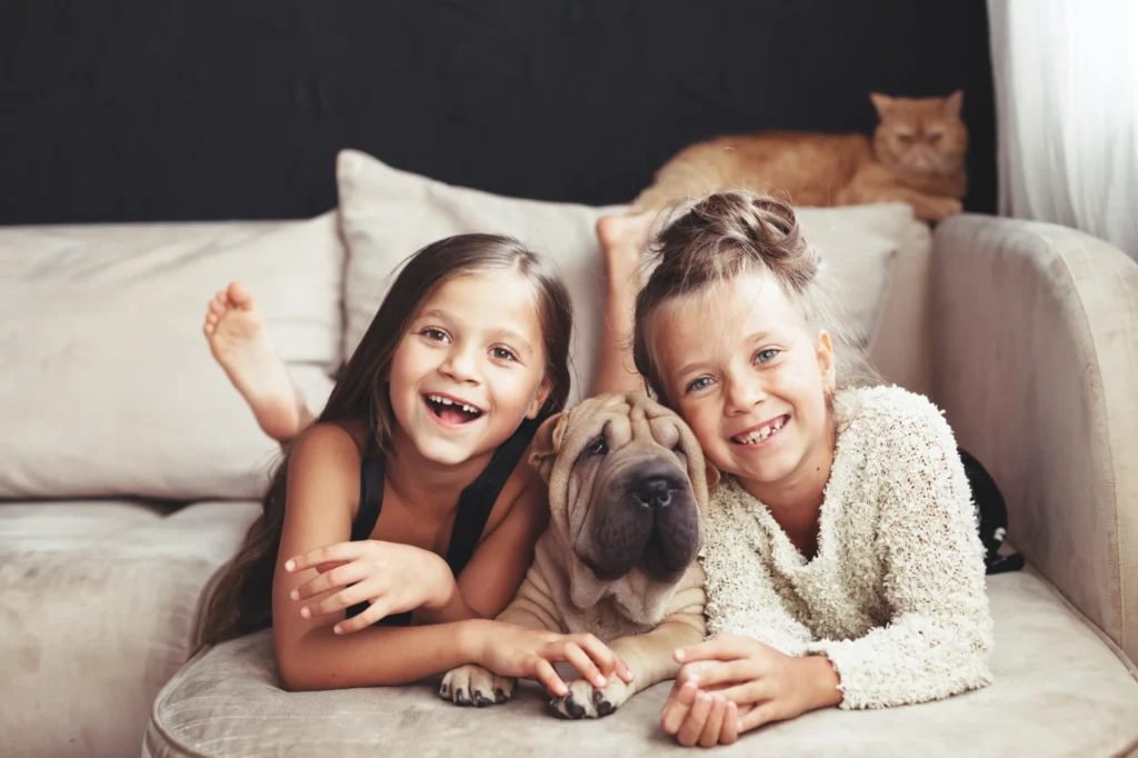 The Merle Great Dane is Family-Friendly