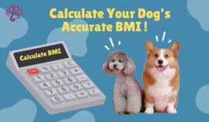 Dog BMI Calculator