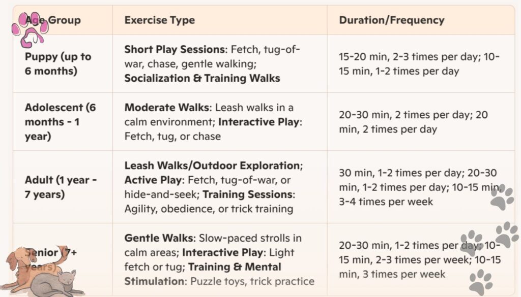 Exercise chart for Chocolate Havanese