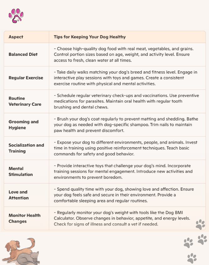 Dog health chart for secure ideal weight. 