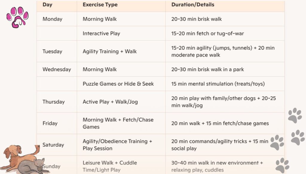 Exercise Chart of Black Havanese 