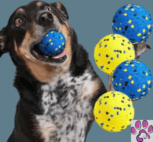 Dog Toy Ball