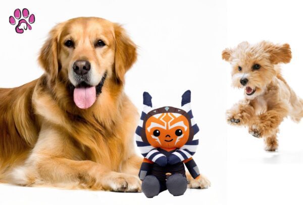 Plush Dog Toys. Star War Soft Dog Toys.