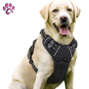 Rabbitgoo Dog Harness