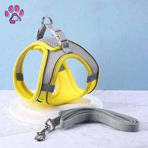 Dog Harness With Leash Set