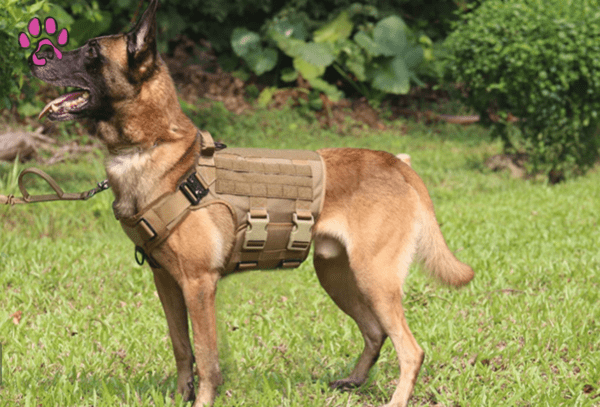 Tactical Dog Harness